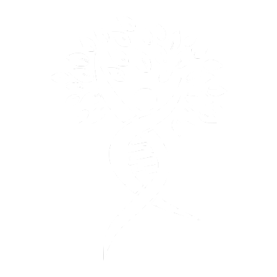 Bohemi